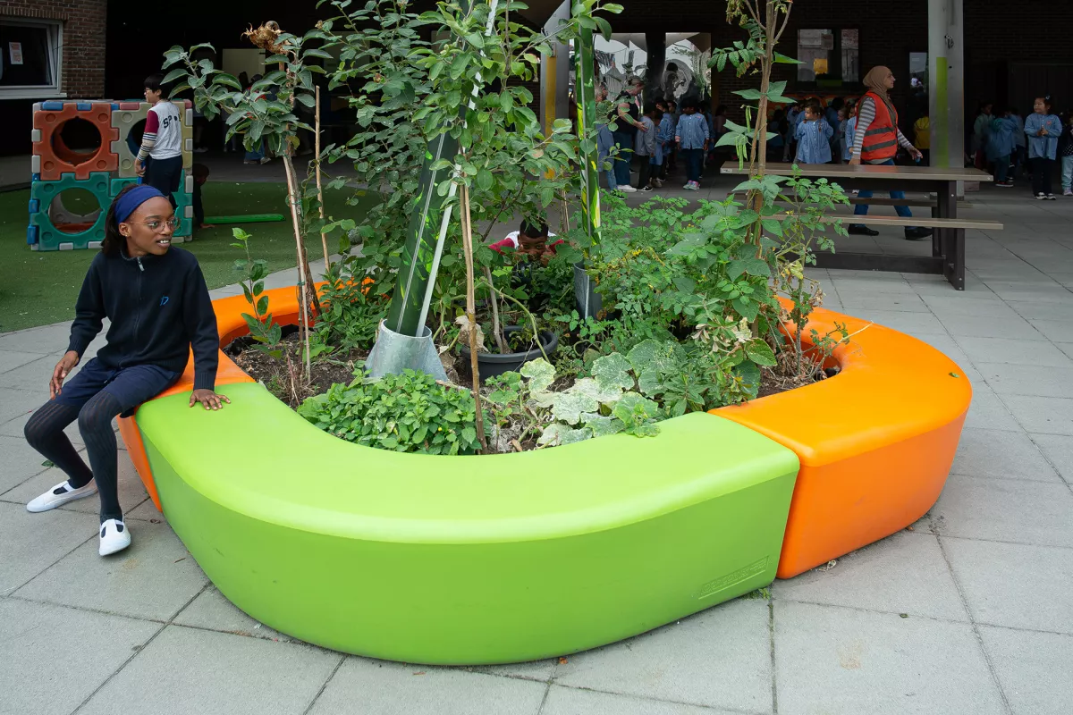 Bebloemen en beplanten