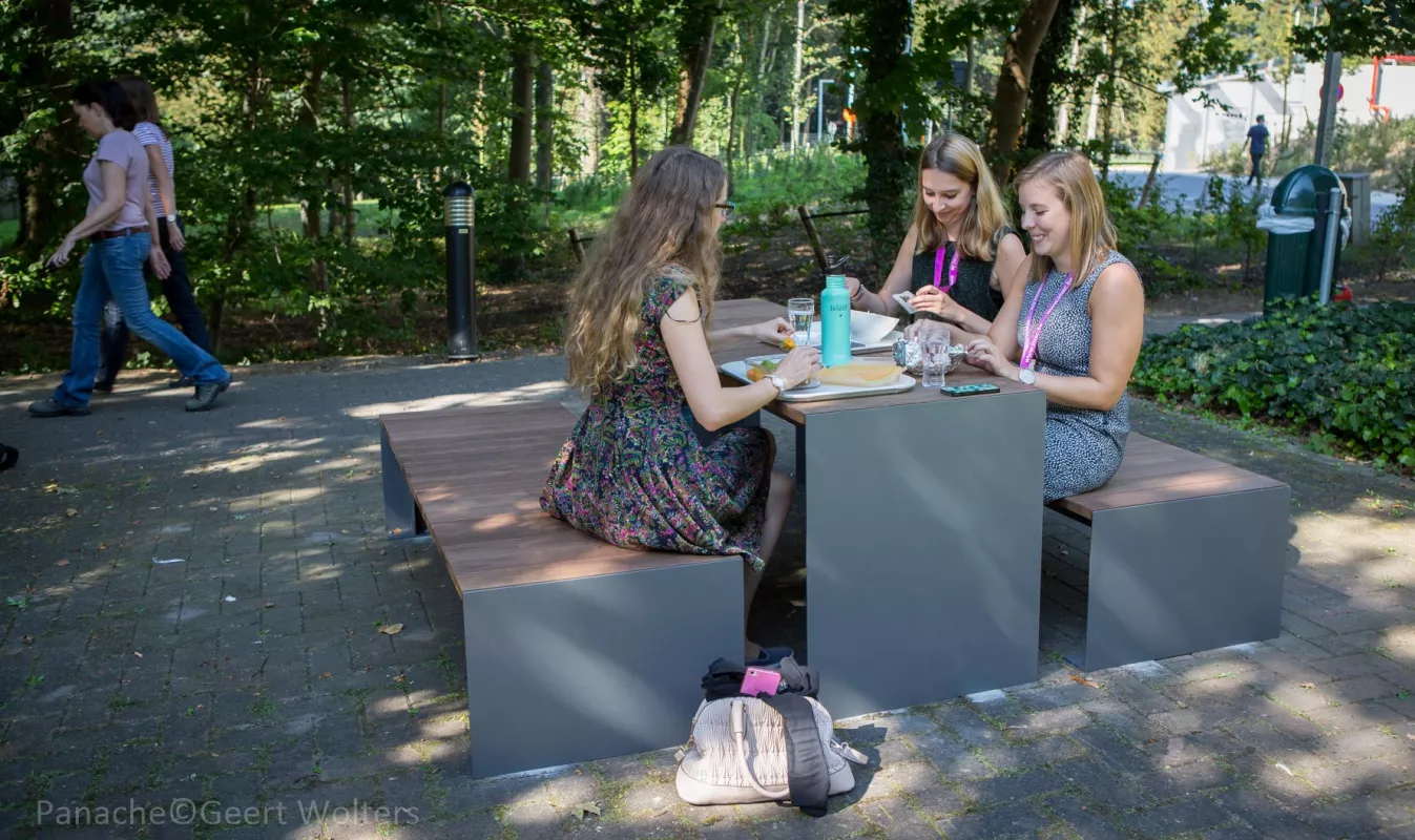 Panache Straatmeubilair Mobilier Urbain zitbank tafel banc table Passeparout Wood©